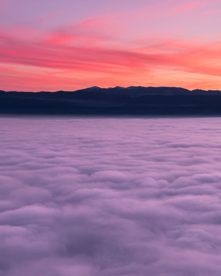 home-meditacije-link-800-1000