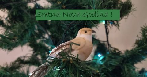 dobordošla-2024-nevidljiva-moć