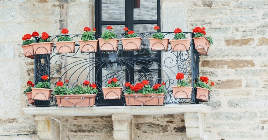 unjeti-ljepotu-nevidljiva-moc